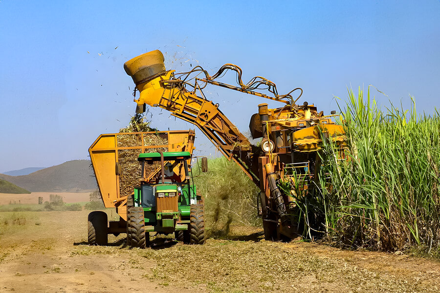 Norte e Nordeste moem menos cana-de-açúcar, mas ampliam produção de etanol e de açúcar